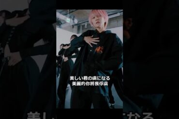 AVAM / X luv X (クロスラブ) (交錯的愛) |【中日字幕翻譯】【歌割り】【日本地下偶像】 #avam #アベアム #idol #アイドル