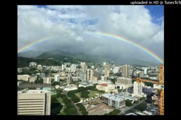 Shocking Blue ／ 三枝夕夏 IN db