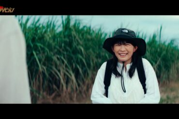 伊藤沙莉、沖縄のサトウキビ畑で人情にふれ思わずにっこり 映画『風のマジム』本編映像 沖縄の風景編
