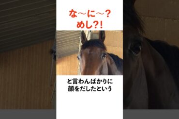 パンサラッサの面白い雑学