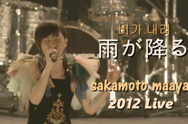 사카모토 마아야(坂本真綾) - 비가 내려(雨が降る) 2012 Live / TVA 강철의 라인배럴 ED 1