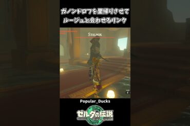 ガノンドロフをゲルドの街に入れてみた結果ｗｗ【ゼルダの伝説 ティアーズ オブ ザ キングダム】