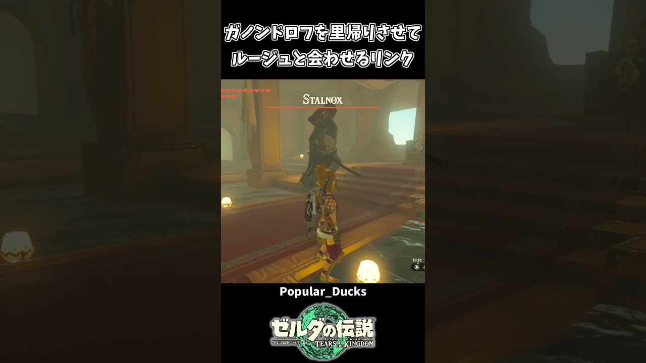 ガノンドロフをゲルドの街に入れてみた結果ww【ゼルダの伝説 ティアーズ オブ ザ キングダム】 ガノンドロフをゲルドの街に入れてみた結果ww【ゼルダの伝説 ティアーズ オブ ザ キングダム】