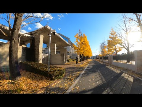 【神奈川】カリタス女子高等学校(川崎市多摩区)をバイクで廻るAround 【神奈川】カリタス女子高等学校(川崎市多摩区)をバイクで廻るAround