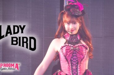 佐々木彩夏【LIVE】Ladybird（from AYAKA NATION Special Edition「VIP ROOM A⁺」）