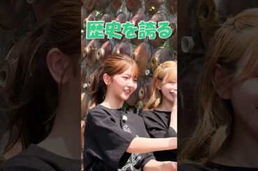 【愛おしい】はるはる、かみまくる #山下葉留花 #はるはる #日向坂46 【大須テレビ】