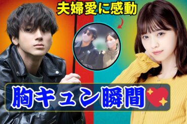 山田裕貴×西野七瀬の素敵エピソード💖夫婦愛にファン感動！【Osaka Pulse TV】#山田裕貴 #西野七瀬 #芸能ニュース