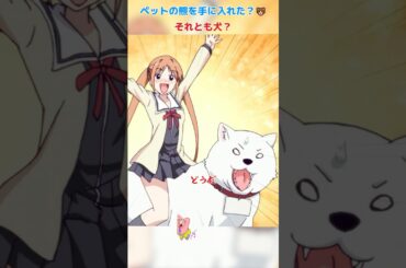 ペットの熊を手に入れた？それとも犬？🤣/アホガール/ばかびがく/悠木碧 / 杉田智和 / 原田彩枫 /shorts/movie