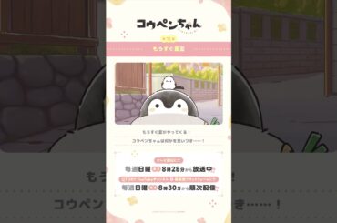 【公式】TVアニメ『コウペンちゃん』 第11話「もうすぐ夏至」