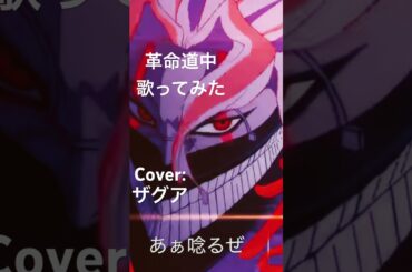 アイナ・ジ・エンド//革命道中-歌ってみた【ザグア】