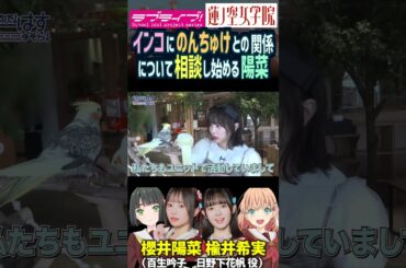 【蓮ノ空】インコに楡井希実との関係を相談する櫻井陽菜【Link! Like! ラブライブ!】#shorts リンクラ 日野下花帆 百生吟子 のんちゅけ のんすけ ひーちゃん 声優 スリーズブーケ 百合