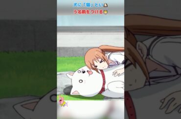 犬に「猫」という名前をつける！/アホガール/ばかびがく/悠木碧 / 杉田智和 / 原田彩枫 /shorts/movie