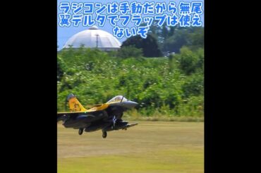 ６万円のラジコン飛行機の実力 #ラジコン飛行機