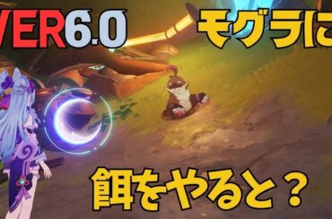 [原神]　取り忘れないで！モグラに隠し宝箱があるよ　VER6.0　ナドクライ　隠し宝箱　見つけにくい　宝箱