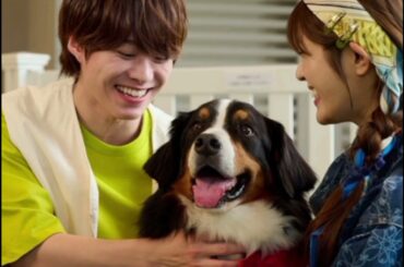 大橋和也＆渋谷凪咲のインスタライブ決定！「リベンジ・スパイ」最終回に向けて見どころを指南！