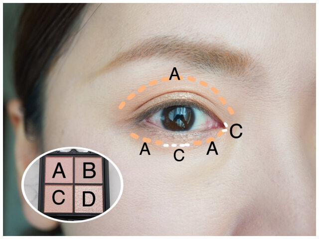 KATE「ポッピングシルエットシャドウ」OR-2 コーラルロゼポップ　使い方　解説