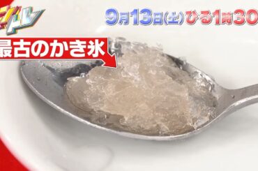 今日のキントレ楽しみー！リアタイします😊#キンプリ #キントレ #永瀬廉 #髙橋海人 #劇団ひとり #山崎弘也 #ザキヤマ #福本莉子 #堂本光一 #浮所飛貴