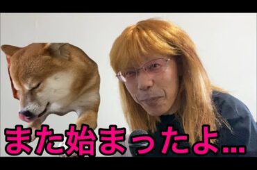 【柴犬飼い主55歳】尾崎病、再発。柴犬またも被害者に…」