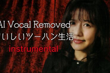 Metal Gear Solid 4 井上喜久子 + 菊地由美 (TWO-HAN PRINCESS) - おいしいツーハン生活 instrumental (AI Vocal Removed)