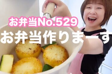 休日出勤が多いパパさんに、野菜メインおかずお弁当【お弁当No.529】
