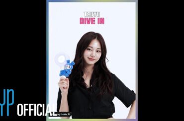 TZUYU “DIVE IN” Cheering Guide