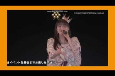 モーニング娘。'22 羽賀朱音 / シャイニングバタフライ