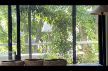 有元葉子が「家を買う」時に一番重視したこと「古くても、間取りもどうでもいい」