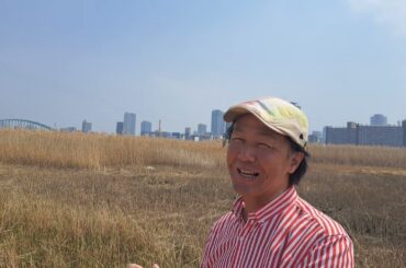 昭和のアイドル歌謡は倉田まり子の『How!ワンダフル』を歌う❗#昭和のアイドル歌謡 #70年代ポップス #懐メロ #倉田まり子 #山上路夫 #都倉俊一 #想い出のメロディー #昭和のヤングポップス