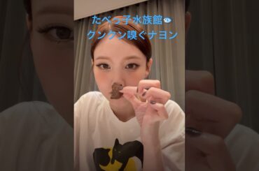 クンクン嗅いでからのパクッと🐟　そして、お疲れ〜なナヨン✨ #TWICE #트와이스 #thisisfor #nayeon #ナヨン #kpop #instagram #インライ切り抜き