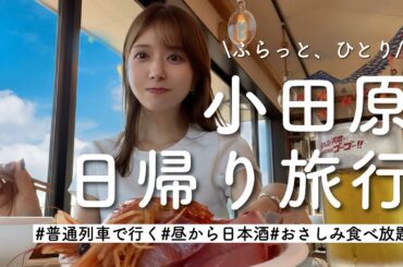 【日帰り小田原】1人でふらっと旅に出たくなったので。おすすめ海鮮食べ放題で爆食も🦞
