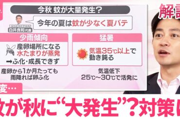【#みんなのギモン】蚊が秋に“大発生”？  異変…対策は