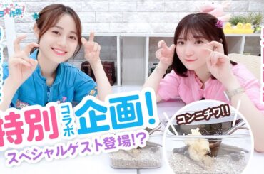 第449回 Pyxisのキラキラ大作戦！【本放送版】