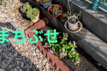 石川ひとみ／まちぶせ　cover   +3