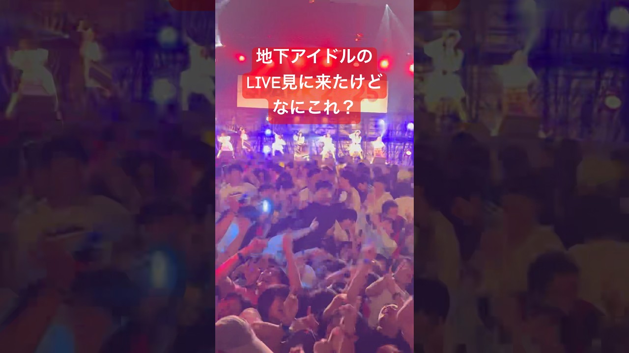 地下アイドルのLIVE見に来たらなんか凄かった #アイドル #idol #地下アイドル #推し活 #ファンサ #コール #mix #spark2025 #shout #真っ白なキャンバス 地下アイドルのLIVE見に来たらなんか凄かった #アイドル #idol #地下アイドル #推し活 #ファンサ #コール #mix #spark2025 #shout #真っ白なキャンバス