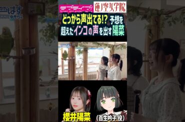【蓮ノ空】予想を超えたインコの声真似をする櫻井陽菜【Link! Like! ラブライブ!】#shorts リンクラ 日野下花帆 百生吟子 のんちゅけ のんすけ ひーちゃん 声優