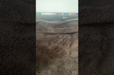 小倉唯に聞きたい15の質問2025 09 17 思念体抜き取り 理解フォース