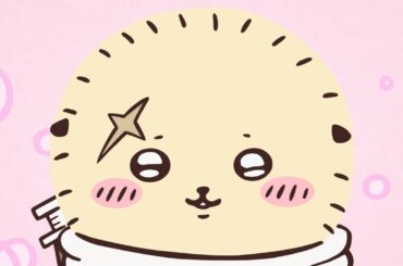 【公式】『ちいかわ』第277話「せんせい／カレー」※1週間限定配信＜9/26 (金)AM7:59まで＞