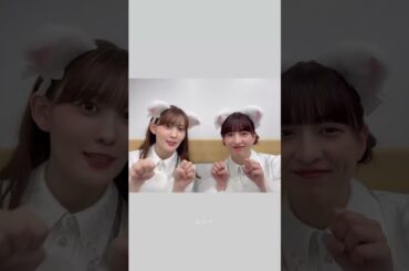 吉田綾乃クリスティーと松尾美佑　2025/09/17　 #乃木坂46 #猫