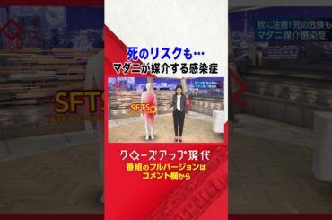 過去最多　マダニが媒介する感染症【クロ現】|NHK | #shorts