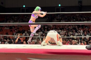 上原わかなを倒してキャメルクラッチを狙う遠藤有栖に対して上原わかなはロープブレイクするも有栖はエプロンで鶴ヶ城！ 東京女子プロレス「東京プリンセスカップ」2024年8月25日