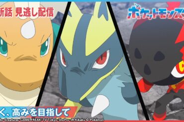 【公式】アニメ「ポケットモンスター」第111話 「強く、高みを目指して」-期間限定配信-