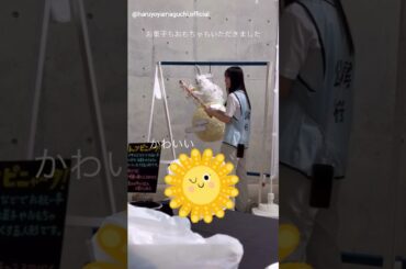 山口陽世 松尾桜 ピニャータで遊ぶさくらちゃん♪日向坂46 ARENA TOUR 2025「MONSTER GROOVE」宮城DAY1