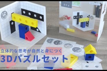 レベル4段階・40問の問題に挑戦　知育玩具｜３Dパズルセットで遊んでみよう