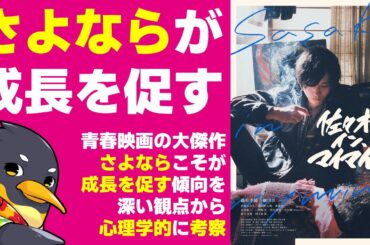 『佐々木、イン、マイマイン』心理学的考察・青春の終わりを描いた大傑作・別れ≒分かれがもたらす成長とは【ネタバレ】【藤原季節】【萩原みのり】