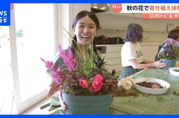 一つの鉢植えに季節の花々を自分好みに…ガーデニングの一種“寄せ植え” ポイントは？長くて2か月楽しめるものも【Sunトピ】｜TBS NEWS DIG