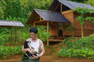 CEO:Trieu Dan left the city to return to the countryside to live wildly build a house and raise dogs