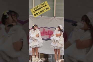 あんもか最後の対バンだったので見て！ #アイオケ #パラダイス未来 #アイドル #アイドルライブ #ライブ #推しカメラ #小林萌夏 #安里唯