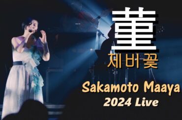 사카모토 마아야(坂本真綾) - 제비꽃(菫) 2024 Live / TVA [데아이몬: 화과자 이야기] 오프닝 & 32th 싱글 타이틀 & 11집 수록곡