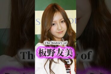 板野友美の歴史