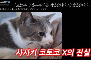 오늘은 ○○을 먹었습니다. 맛있었습니다.